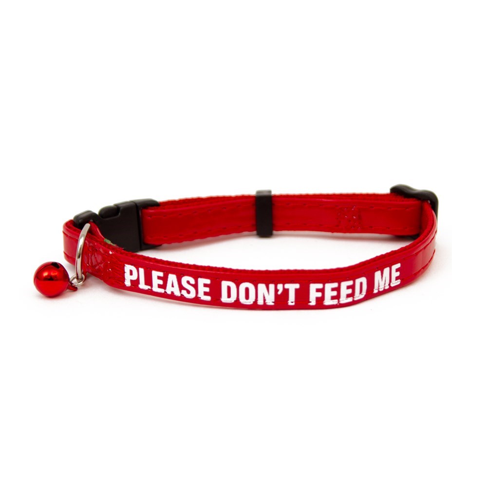 Great&Small Please Dont Feed Me Cat Collar
