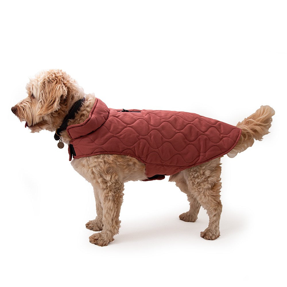 Great&Small Penrose Summer Sunset Pink Twill Coat