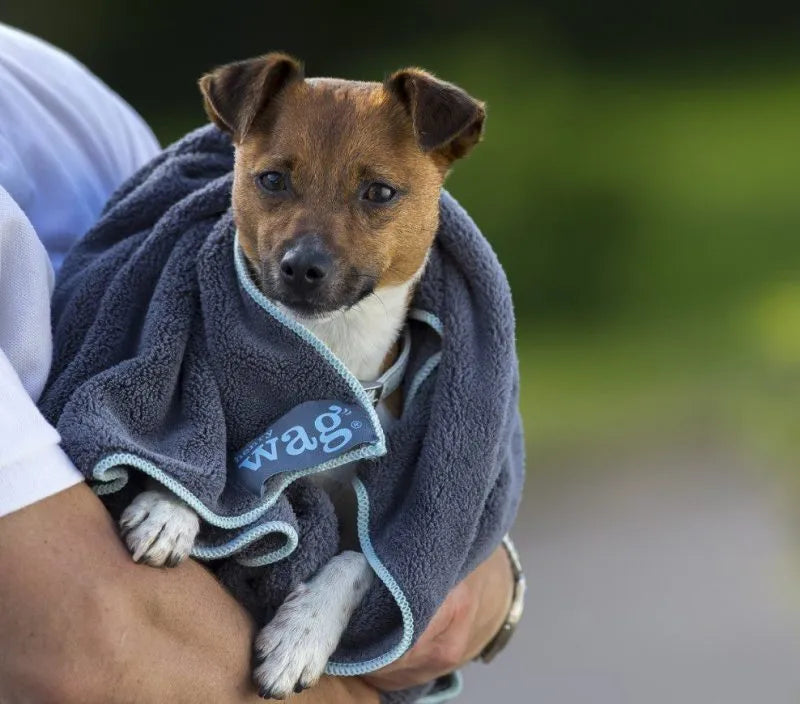 Henry Wag Cleaning Towel - Small