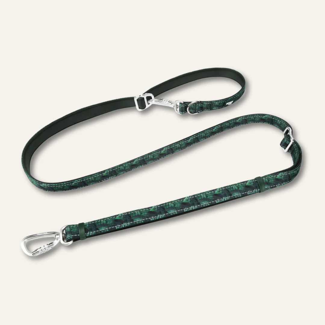 Twiggy Tags Multi-Way Lead - Canopy