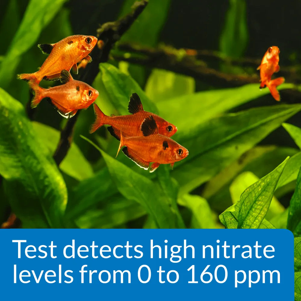 API Nitrate Test Kit - Salt & Fresh Water