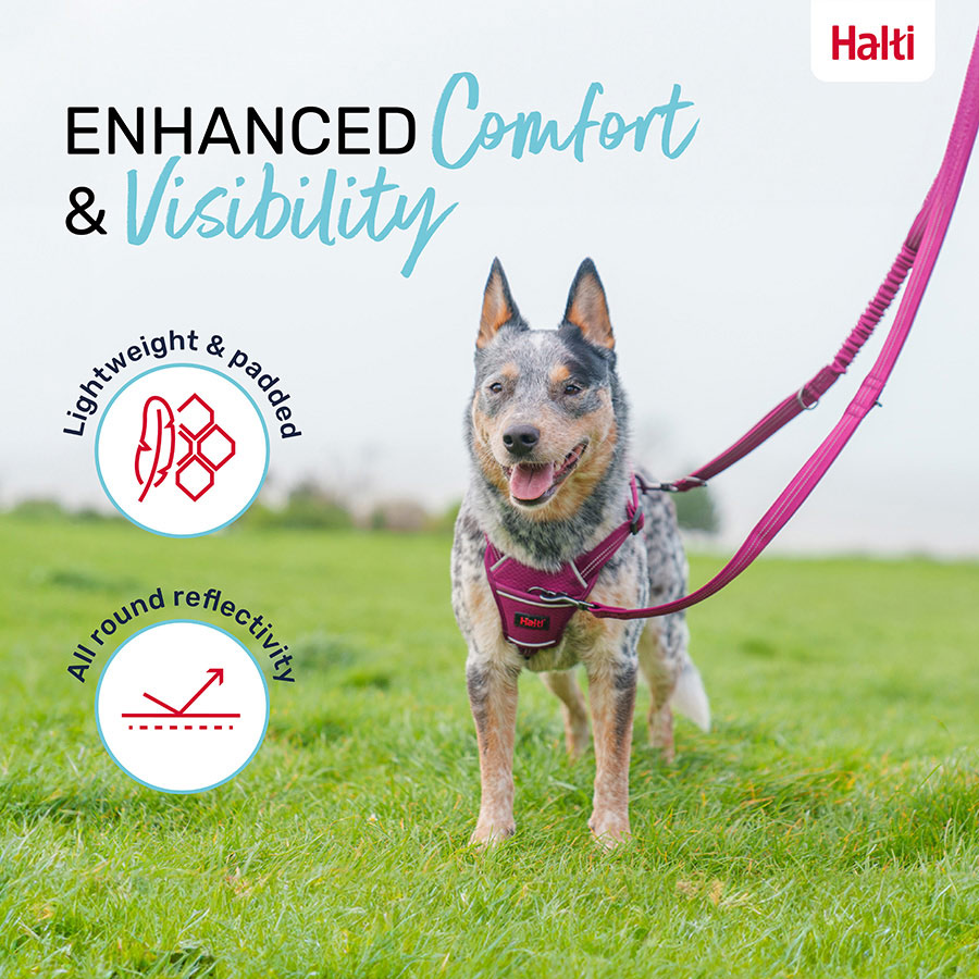 Company of Animals Halti Anatomy Multi Lead - Magenta