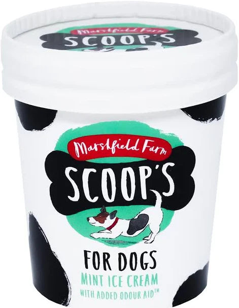 Scoops Mint Ice Cream 125ml