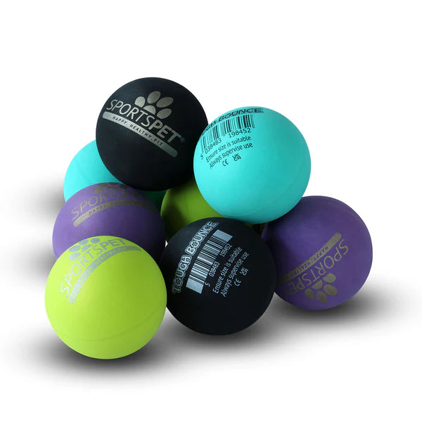 Sportspet Tough Bounce Ball 6.5cm