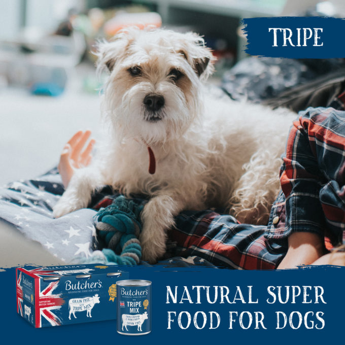 Butchers Can Grain Free Tripe Mix 400g