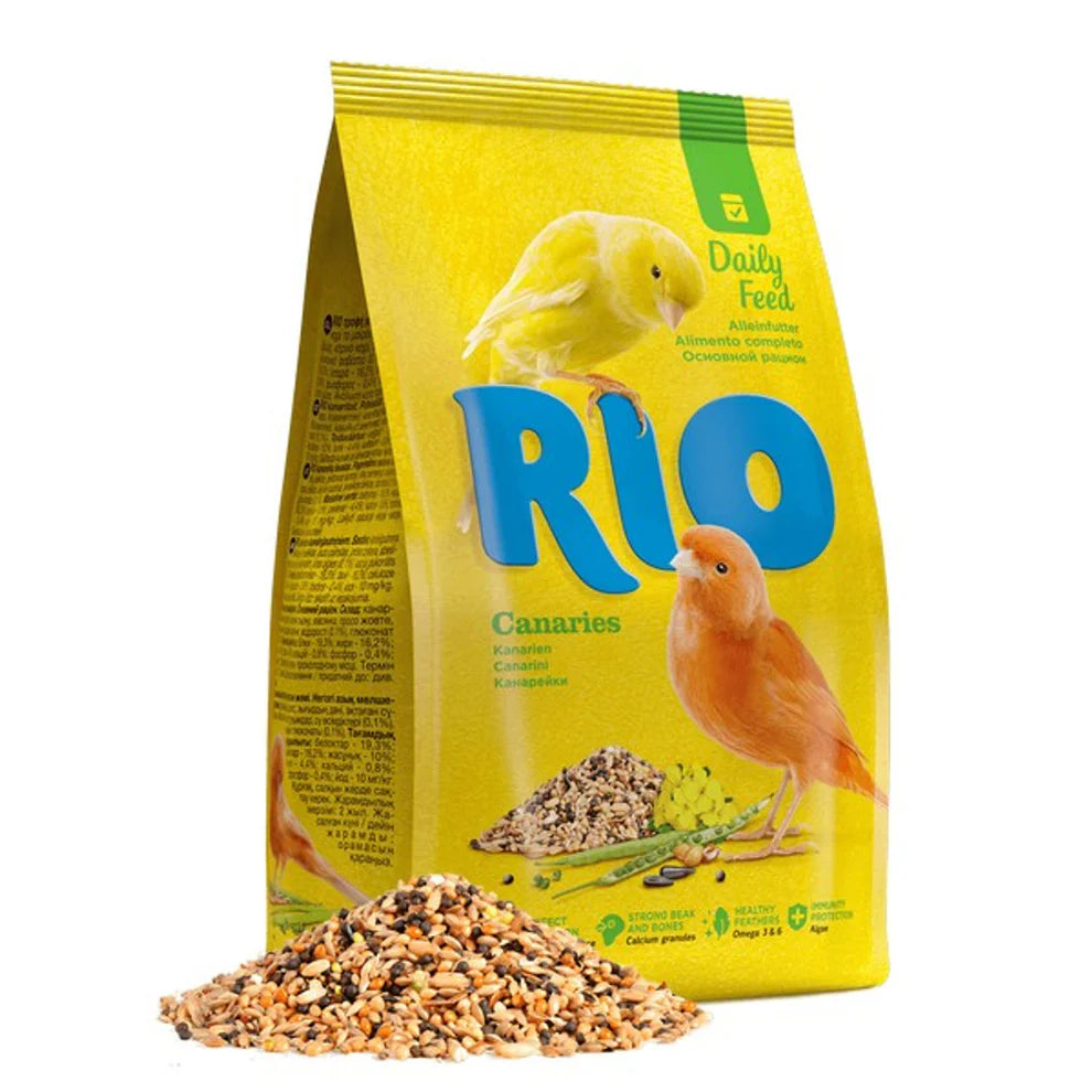 Bird Food