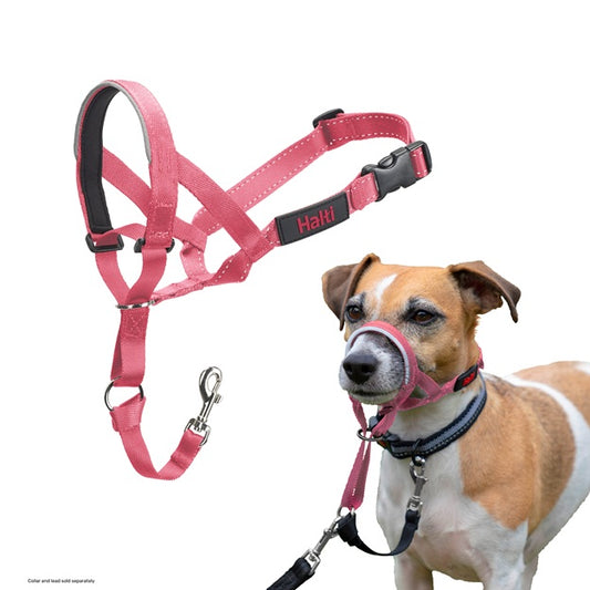 Company of Animals Halti Headcollar Pink