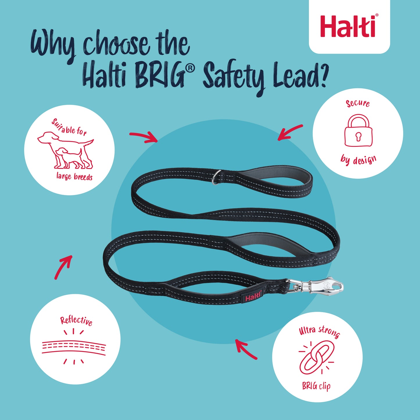 Company of Animals Halti BRIG Safety Lead Black - Large
