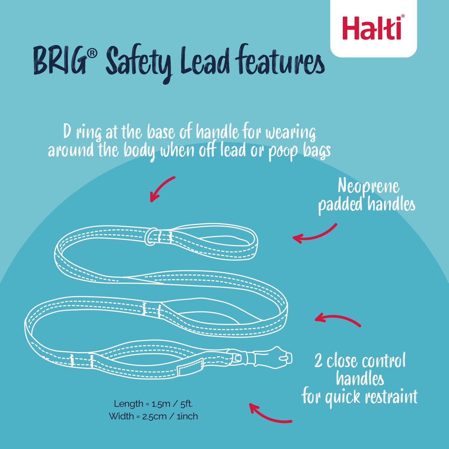 Company of Animals Halti BRIG Safety Lead Black - Large