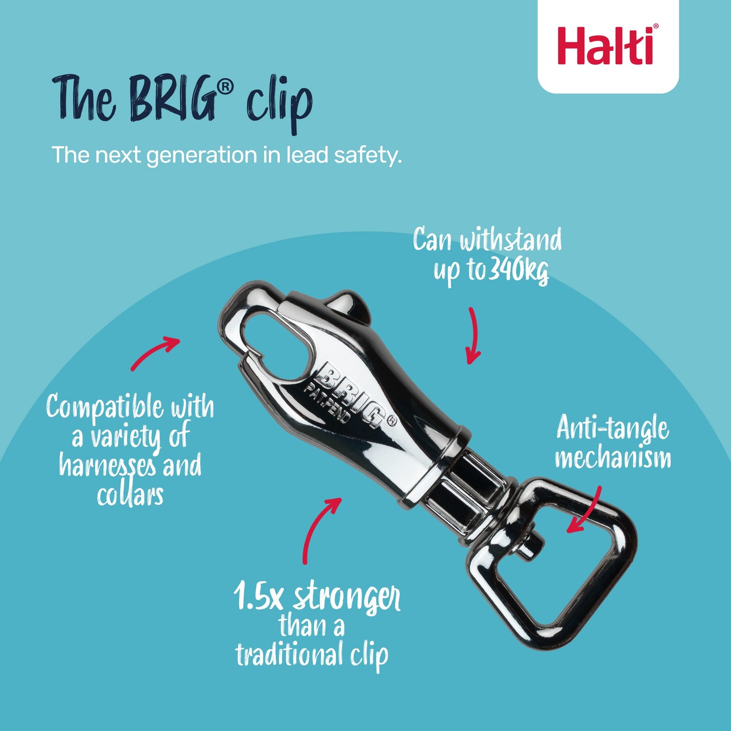 Company of Animals Halti BRIG Safety Lead Black - Large