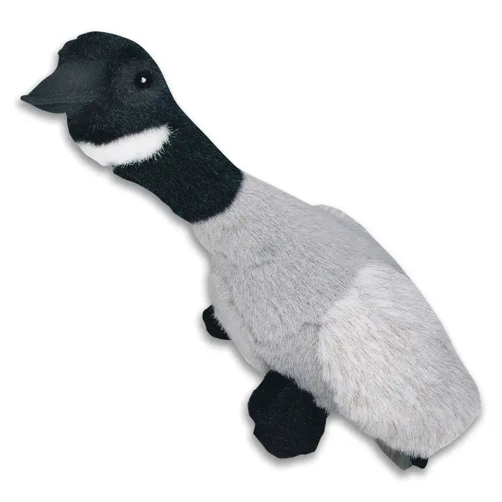 Happy Pet Migrator Canada Goose