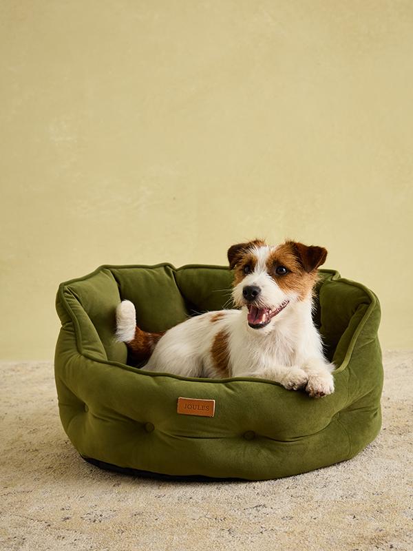 Joules Chesterfield Dog Bed Khaki - Small