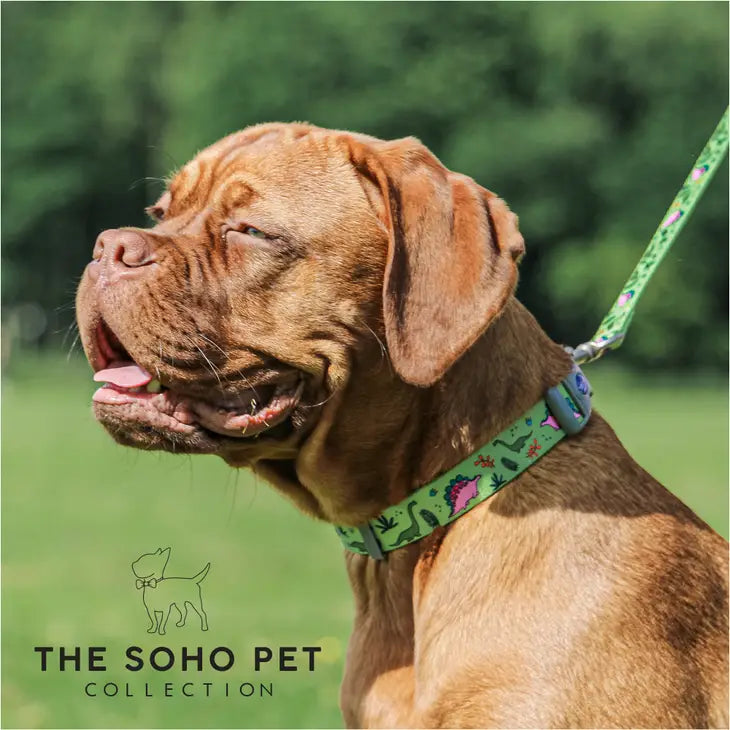 Soho Dino Patterned Lead 1m