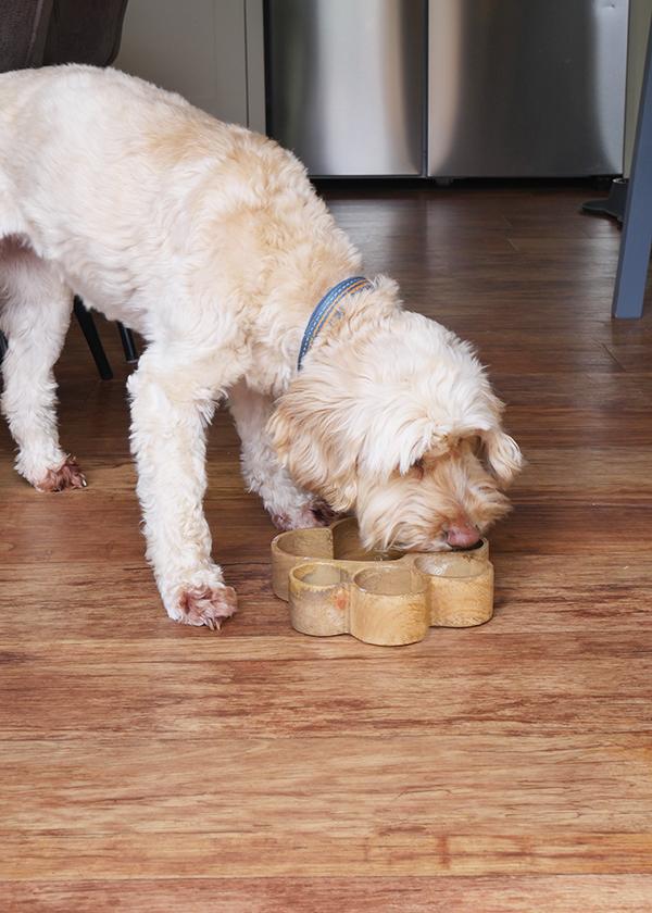 Rosewood Wooden Paw Print Bowl 600ml