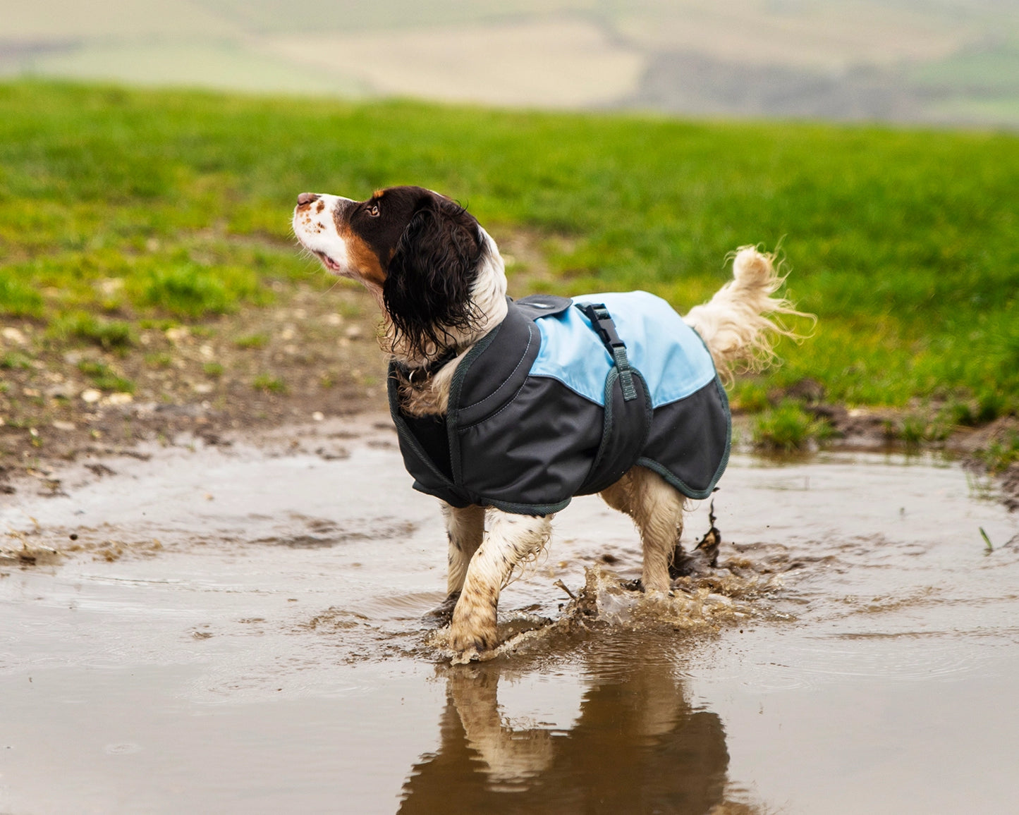 Henry Wag Waterproof Coat Blue