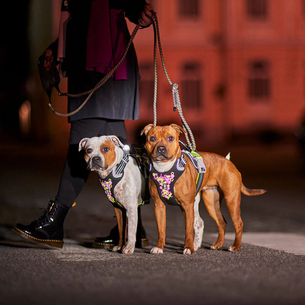 Hurtta Weekend Warrior Harness II Licorice Neon