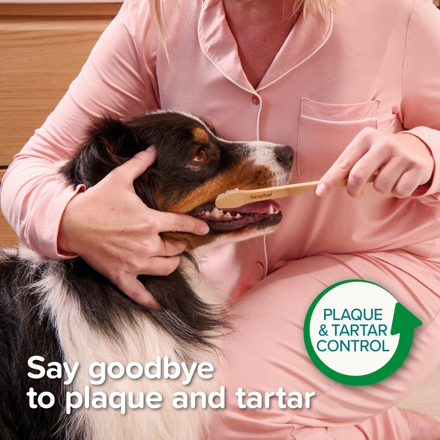 Beaphar Bamboo Toothbrush