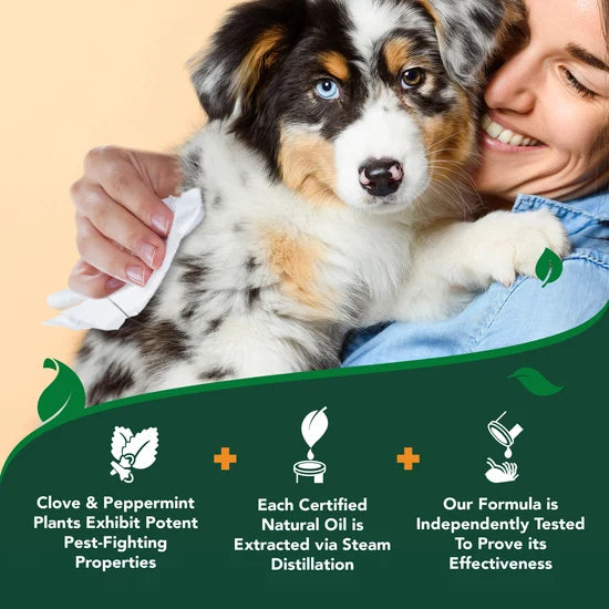 Vet's Best Flea Tick Wipes for Dogs 50pc
