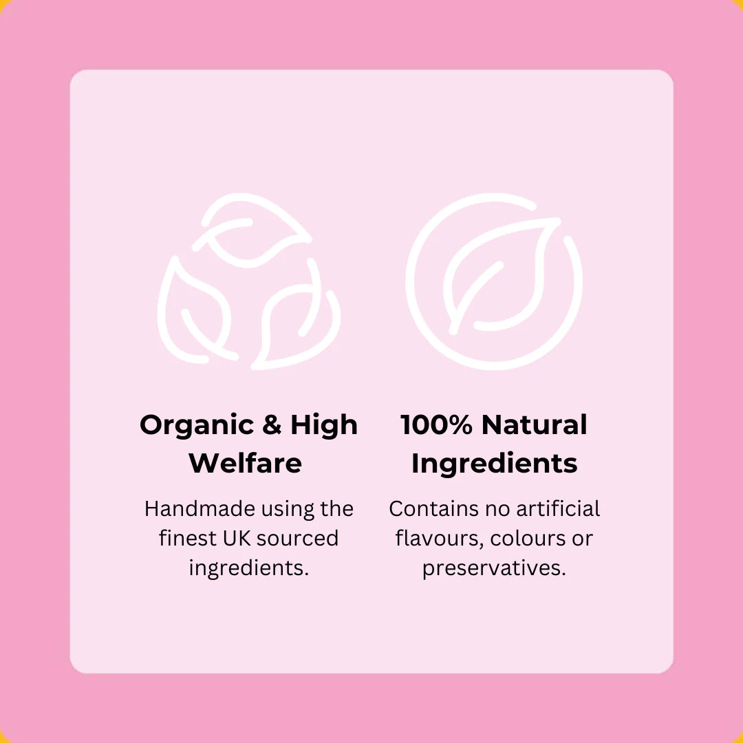 Axels Elixir Salmon Happy Bones