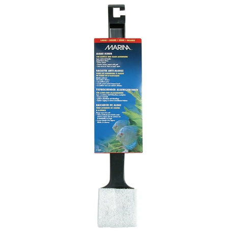 Marina Algae Scrub - Large
