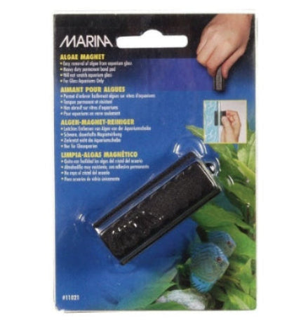 Marina Small Algae Magnet