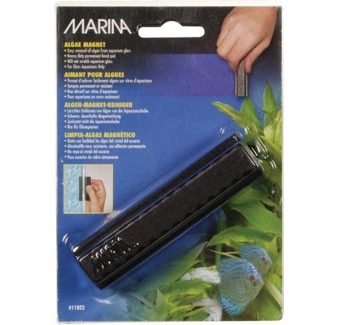 Marina Algae Magnet - Large 10cm