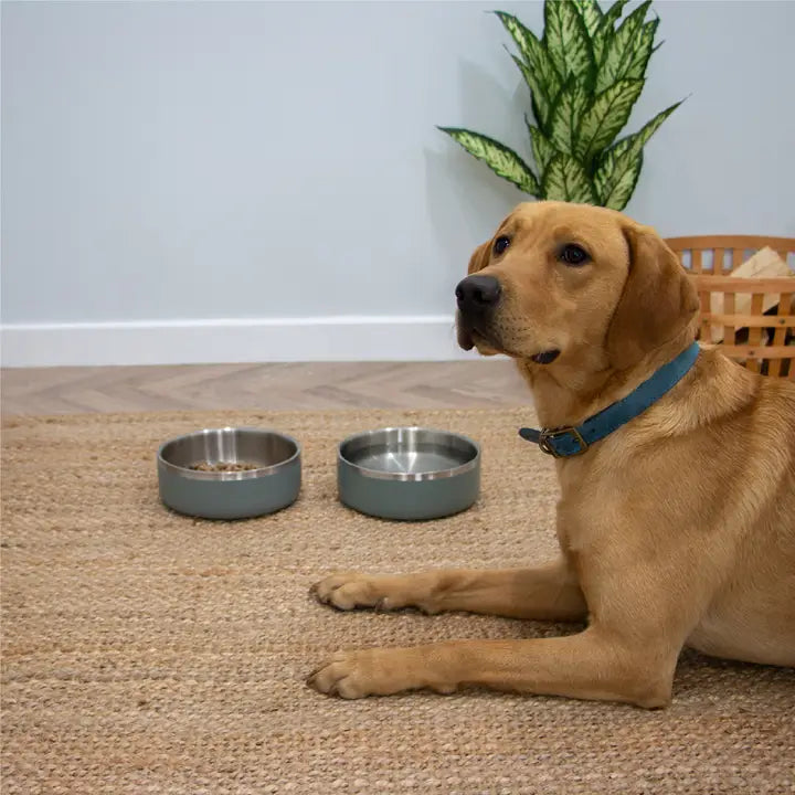 Ancol Hungry Paws Sage Steel Bowl 1100ml