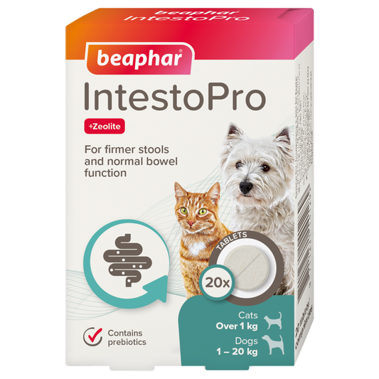Beaphar IntestoPro Tablets 20pk - Cat & Small Dog