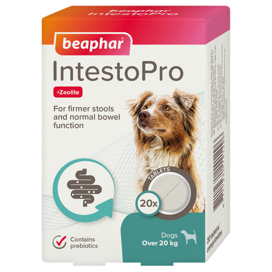 Beaphar IntestoPro Tablets 20pk - Dog 20kg+