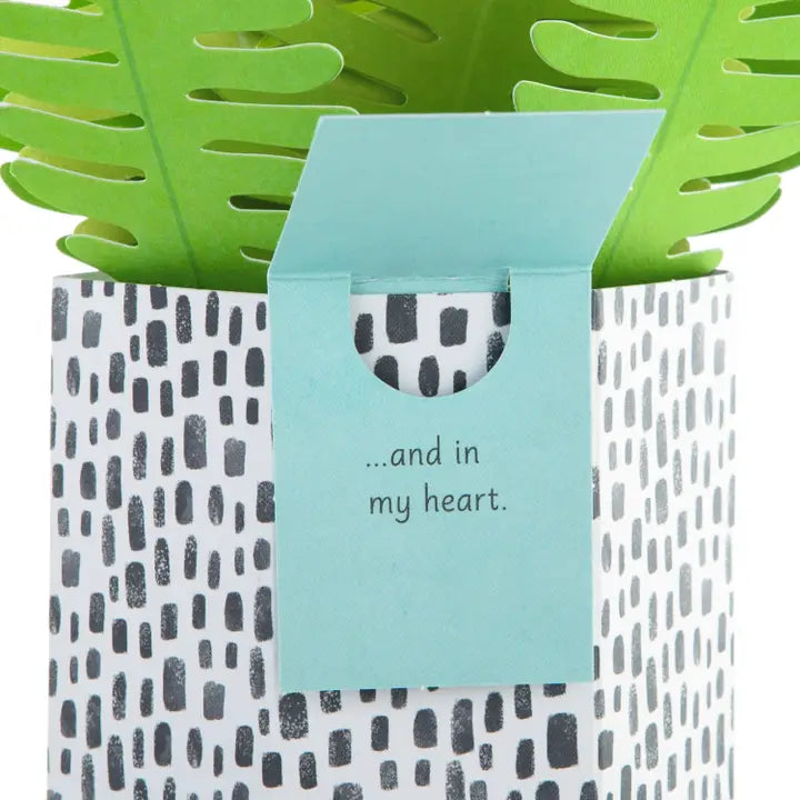 Hallmark Paper Wonder Pop-up Plant Card - Fern