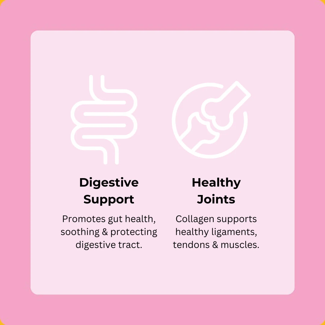 Axels Elixir Salmon Happy Bones