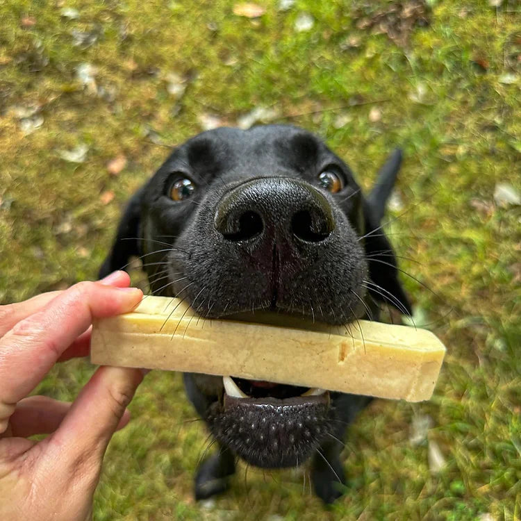 Organic Goats Milk Chew - 3 Sizes