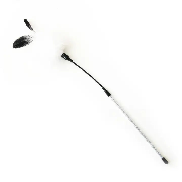 Happy Pet Cat Teaser - Manhattan