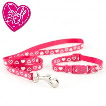 Small Bite Heart Puppy Collar & Lead Set