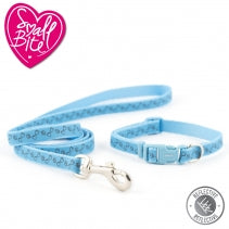 Small Bite Heart Puppy Collar & Lead Set