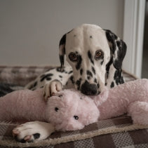 Ancol Cuddle Super Long Pig