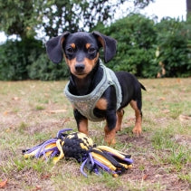 Ancol Playtime Squeak T-Shirt Rope Ball Small