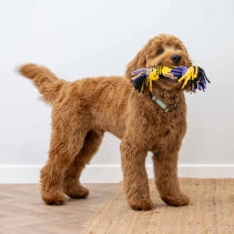 Ancol Playtime Squeak T-Shirt Rope Tug