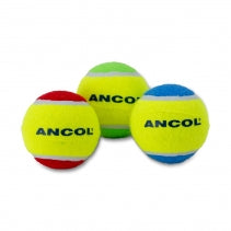 Ancol Playtime Chase Coloured Tennis Balls (3 pack)