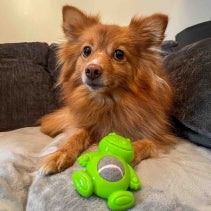 Ancol Small Bite Ball Belly Pig Frog Elephant