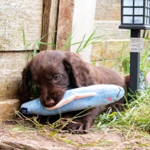 Ancol Small Bite Glow In The Dark Cuddlers