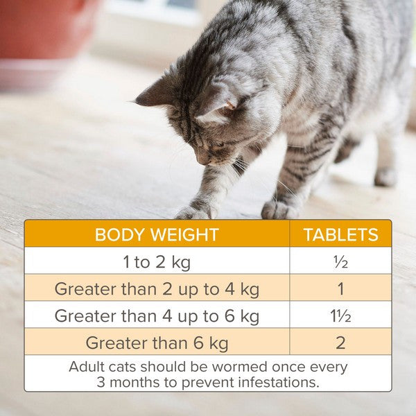Beaphar WORMclear Cats up to 6kg (2)