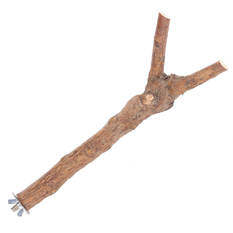 Bird House Branch Perch - Medium