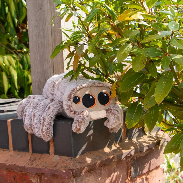 Ancol Cuddle Sid Spider Plush Toy