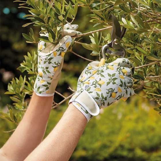 Sicilian Lemon Smart Gardeners - Gardening Gloves