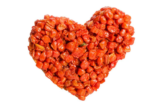 House of Paws Go Forage I Heart Carrot Snack