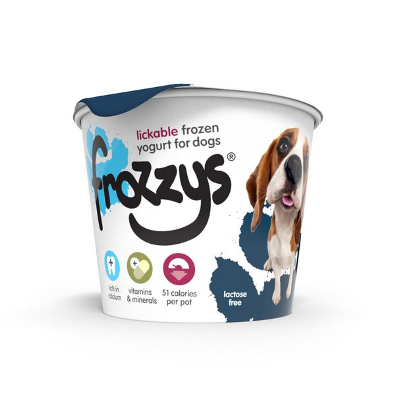 Frozzys Blueberry Frozen Yogurt 85g