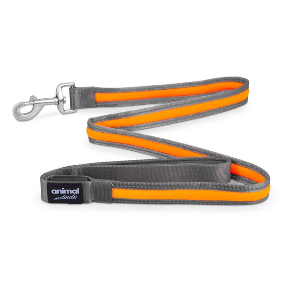 Animal Instincts Flashing Leash 1.2m