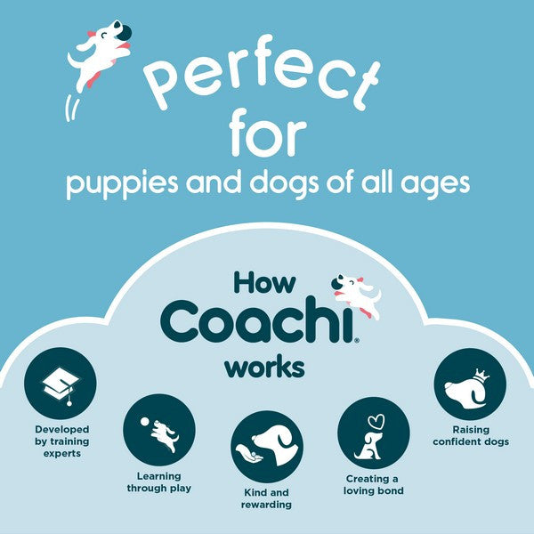 Company of Animals Coachi Training Dumbbell Large