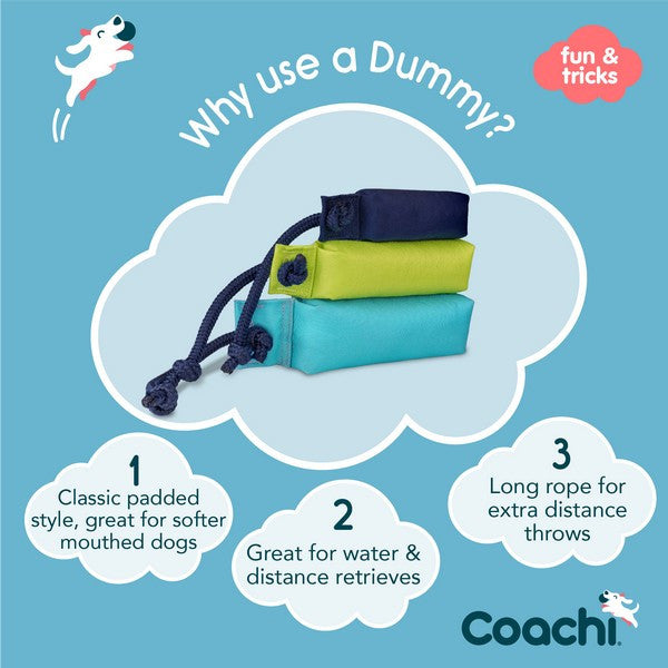 Company of Animals Coachi Training Dummy Blue Large